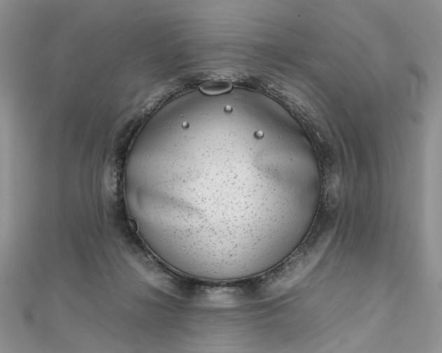 X0000112810268200909041500