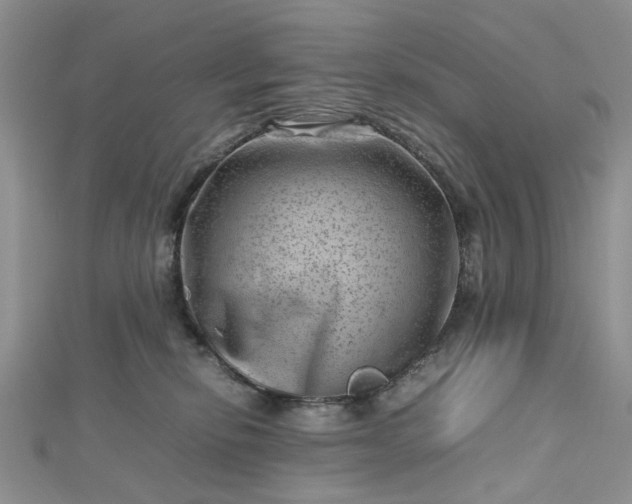 X0000112810278200909041500