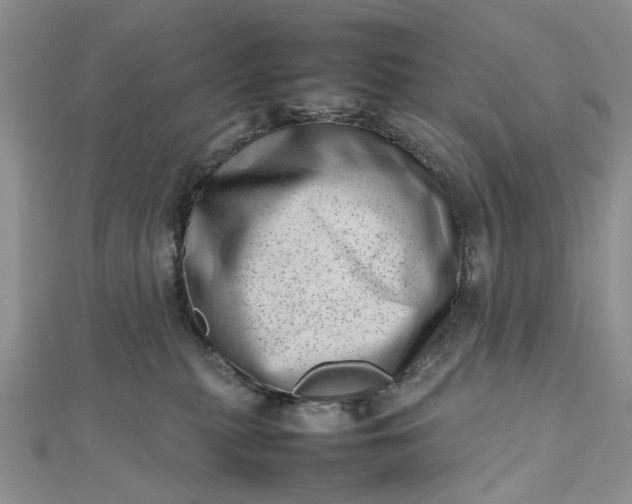 X0000112810279200909041500