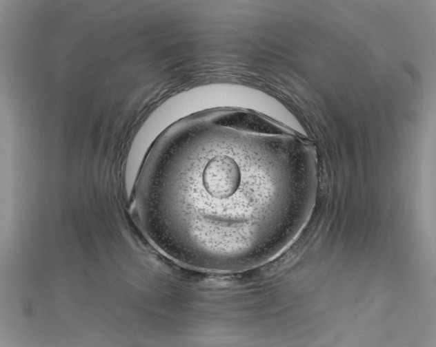 X0000112810280200909041500