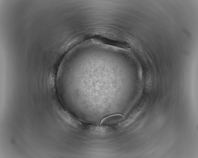 X0000112810282200909041500