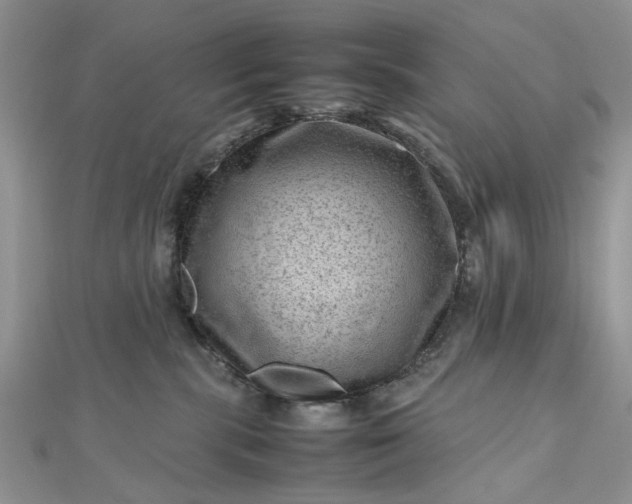 X0000112810283200909041500