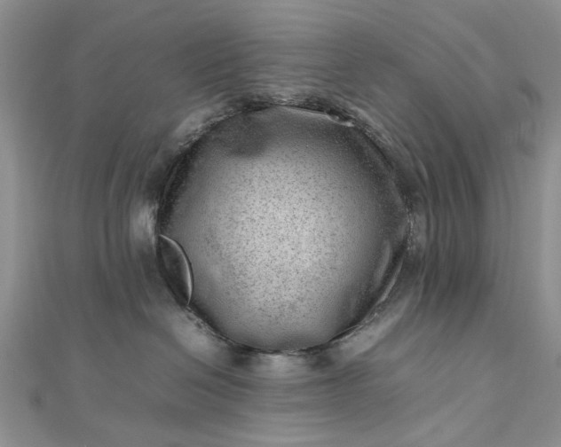 X0000112810286200909041500