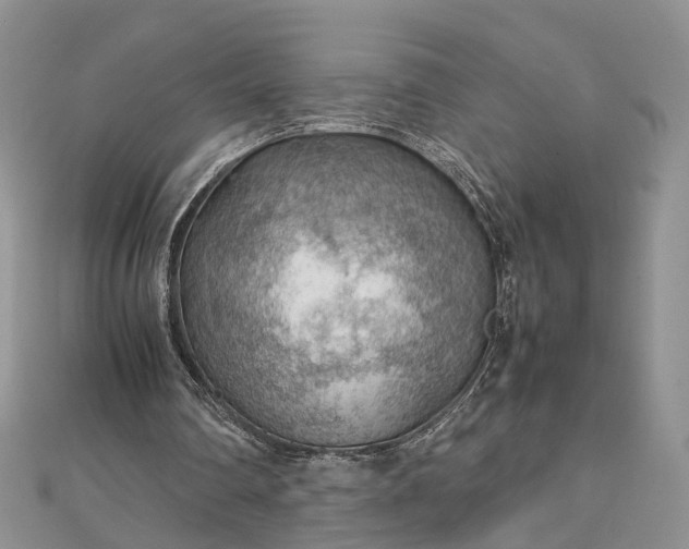 X0000112810290200909041500