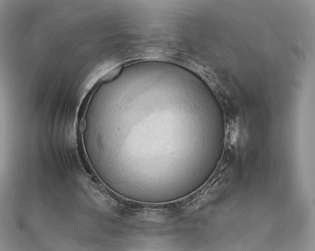 X0000112810292200909041500