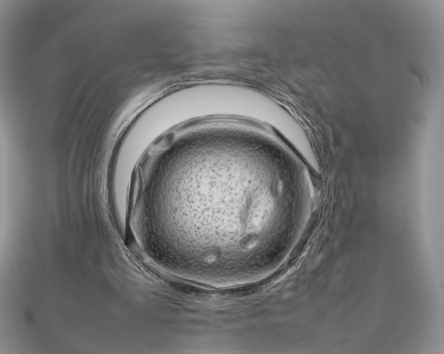 X0000112810293200909041500