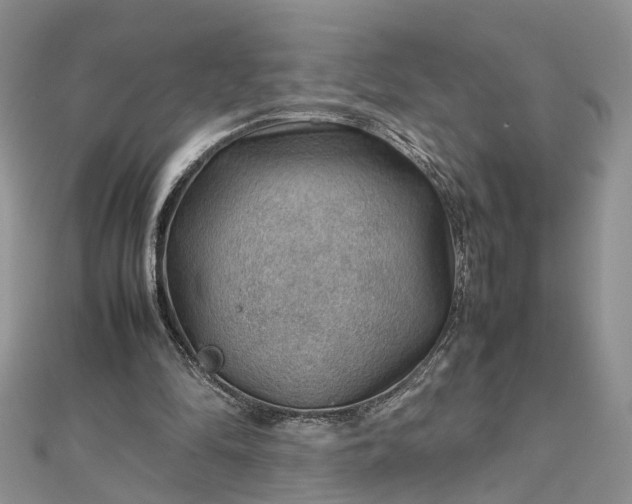 X0000112810294200909041500