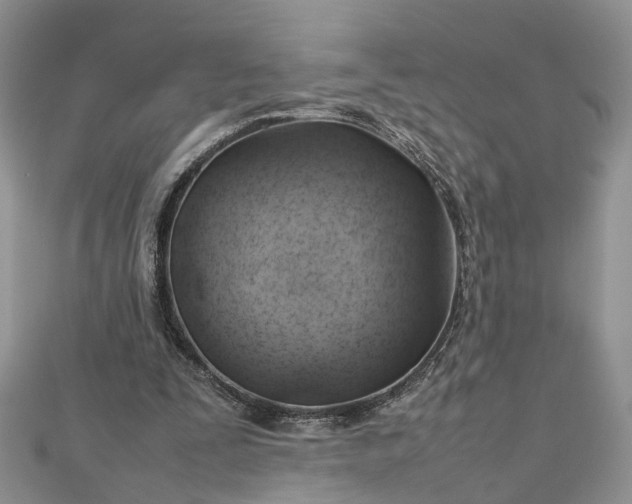 X0000112810295200909041500