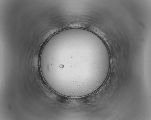 X0000112810297200909041500