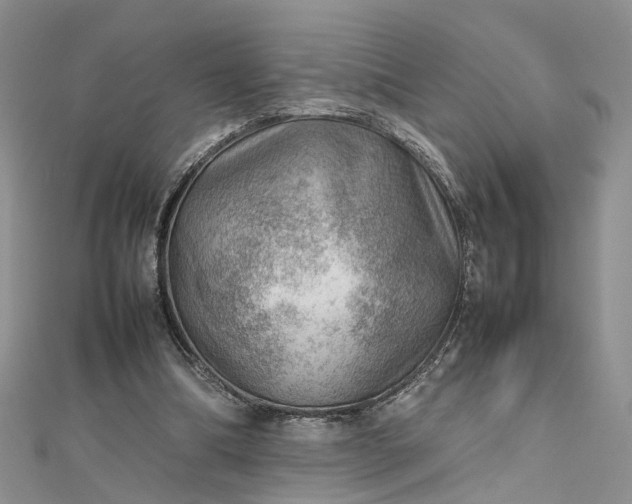 X0000112810298200909041500