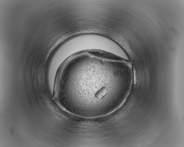 X0000112810300200909041500