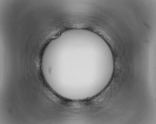 X0000112810305200909041500