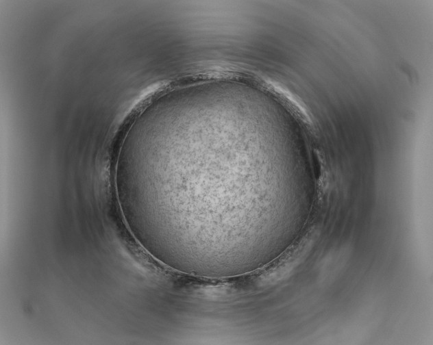 X0000112810306200909041500