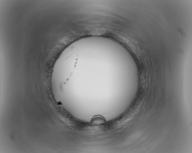 X0000112810307200909041500