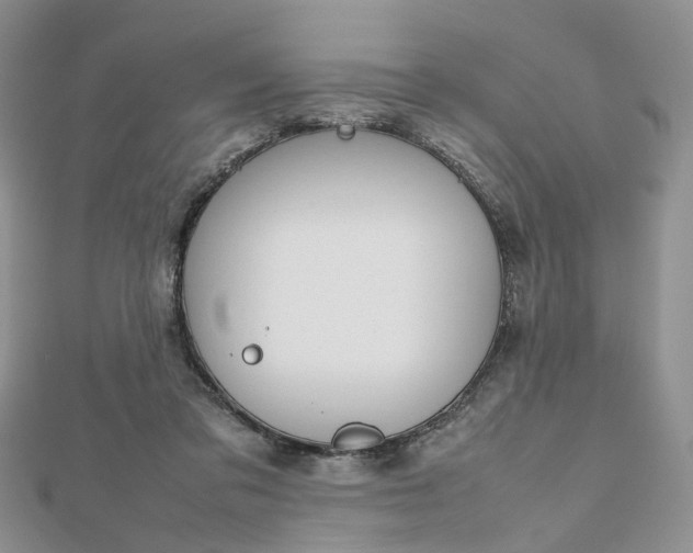 X0000112810309200909041500