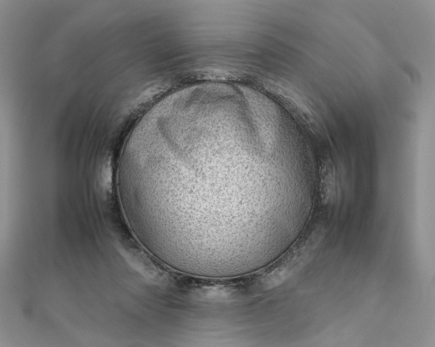 X0000112810310200909041500