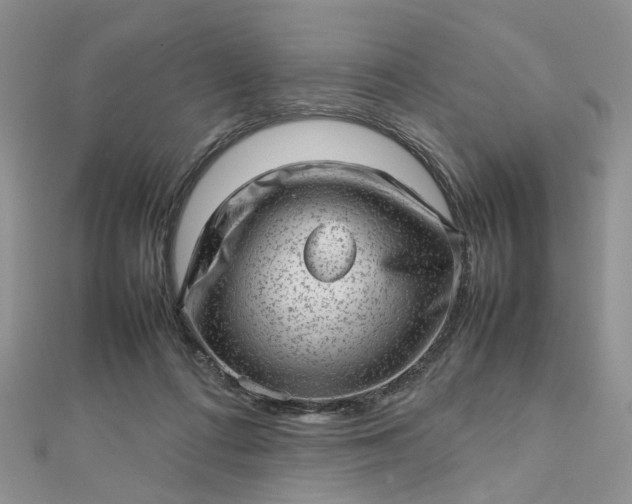 X0000112810312200909041500