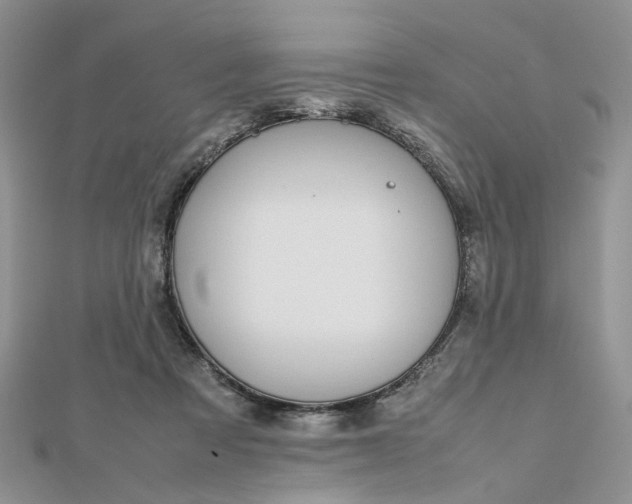 X0000112810313200909041459