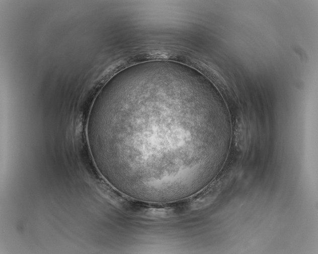 X0000112810314200909041459