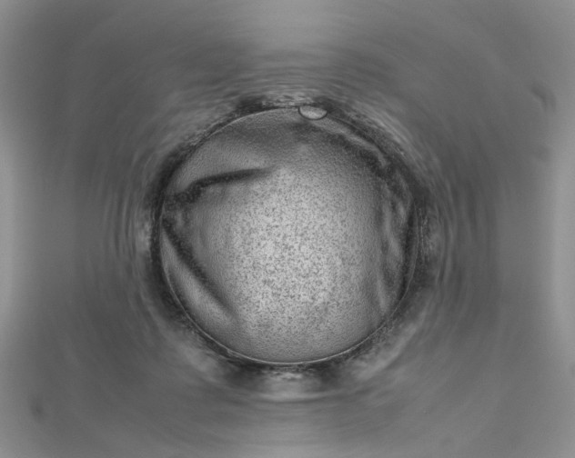 X0000112810315200909041459