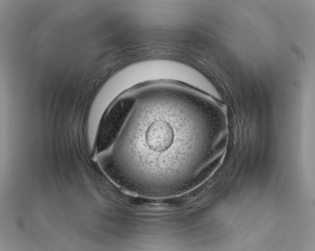 X0000112810316200909041459