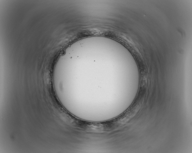 X0000112810317200909041459