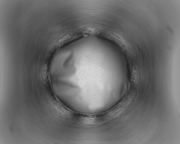 X0000112810318200909041459