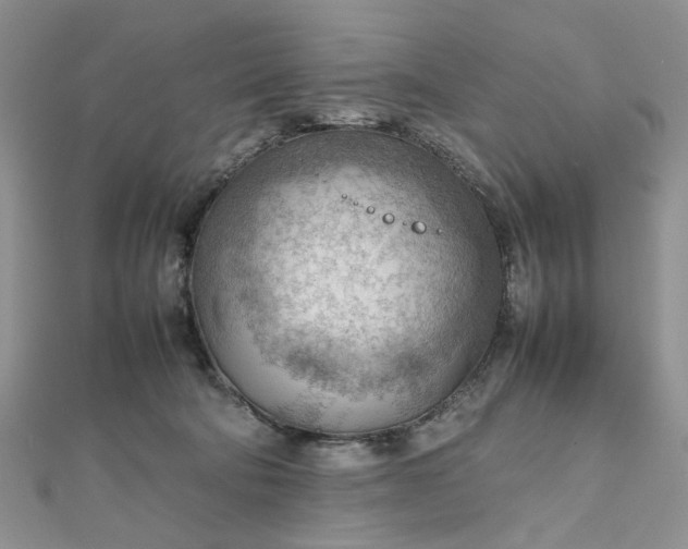 X0000112810322200909041459