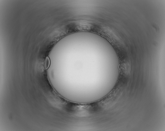 X0000112810323200909041459