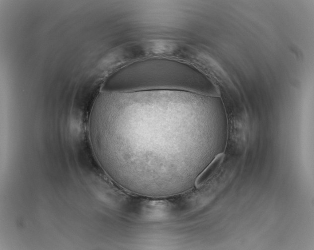 X0000112810324200909041459