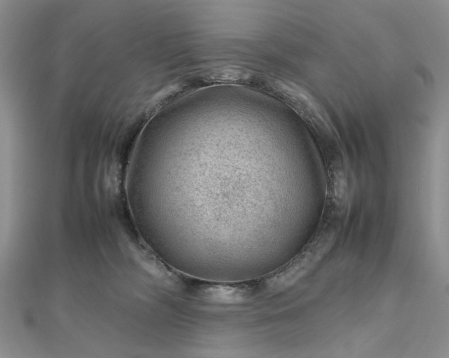 X0000112810326200909041459