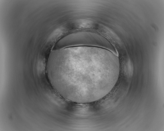 X0000112810328200909041459