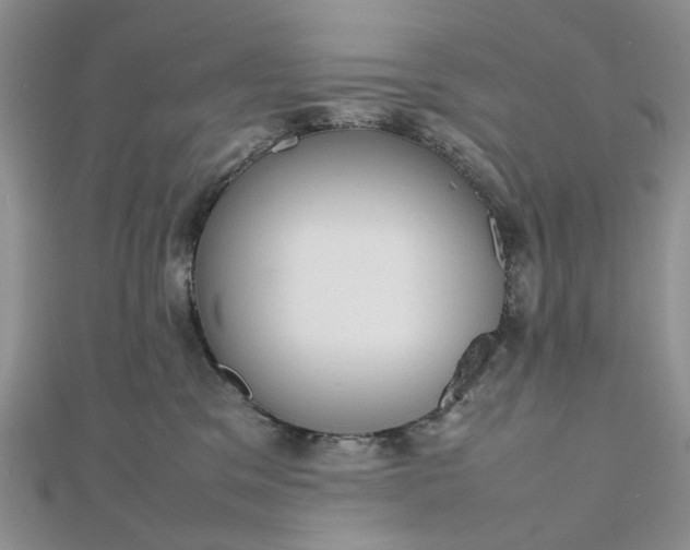 X0000112810329200909041459