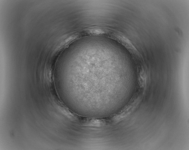 X0000112810330200909041459