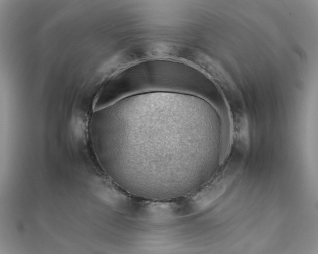 X0000112810332200909041459