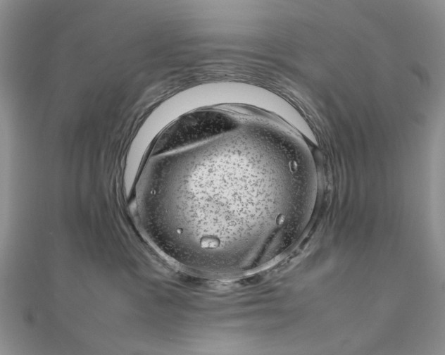 X0000112810333200909041459