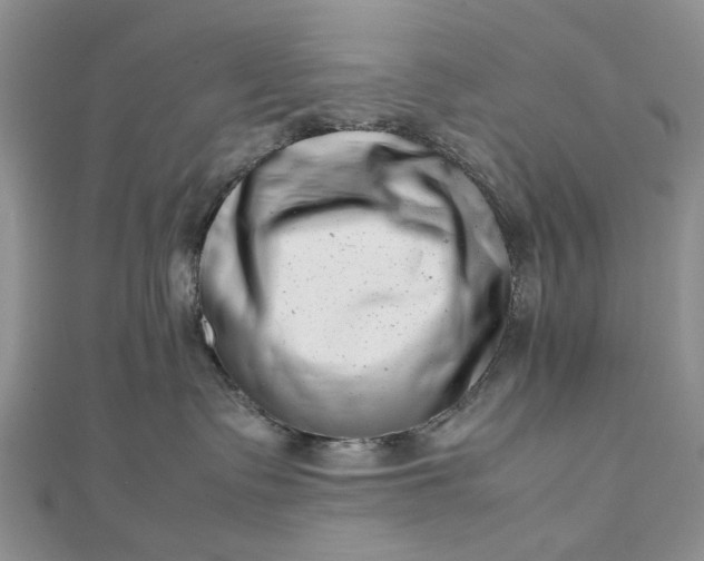 X0000112810335200909041459