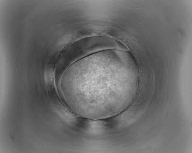 X0000112810336200909041459