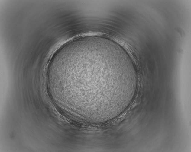 X0000112810337200909041458