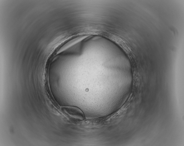 X0000112810338200909041458