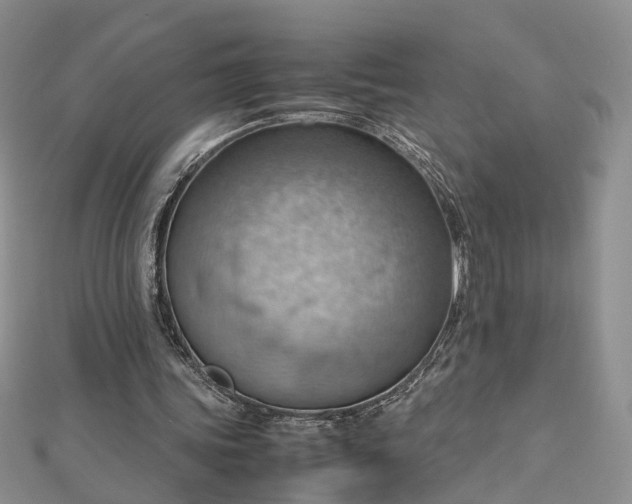 X0000112810339200909041458