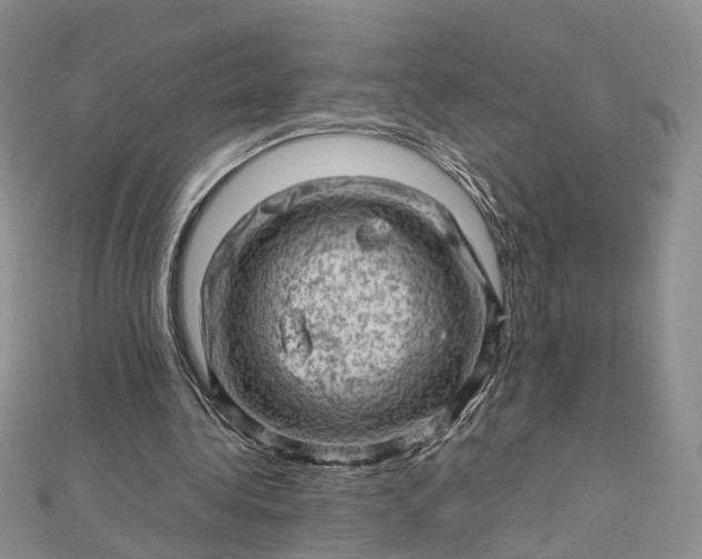 X0000112810340200909041458