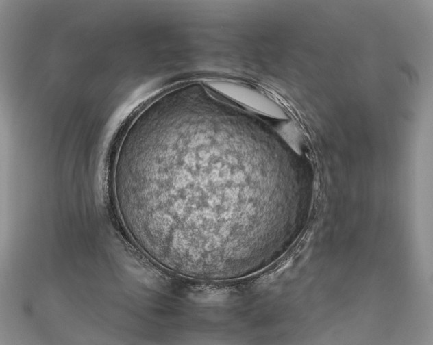 X0000112810343200909041458