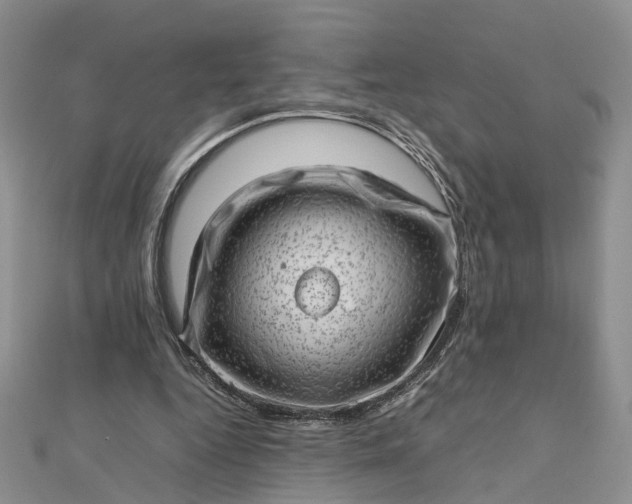 X0000112810344200909041459