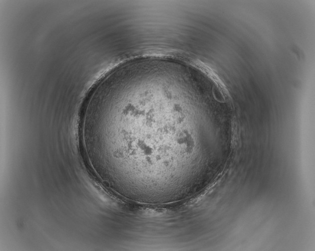 X0000112810346200909041459