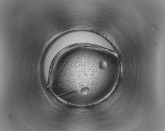 X0000112810348200909041459