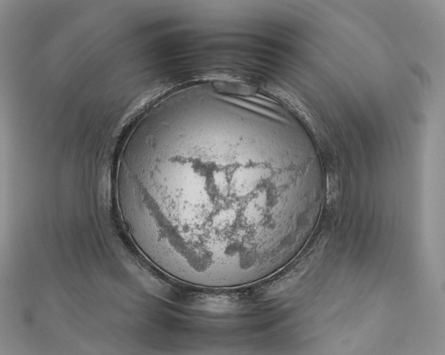 X0000112810349200909041459