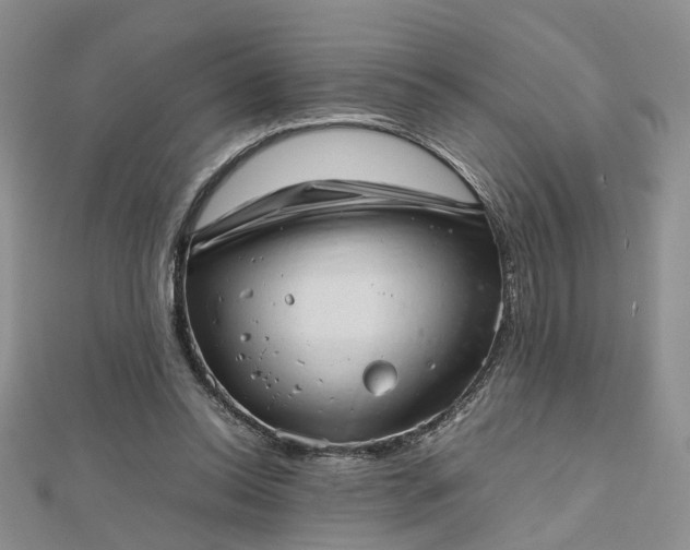 X0000112810350200909041459