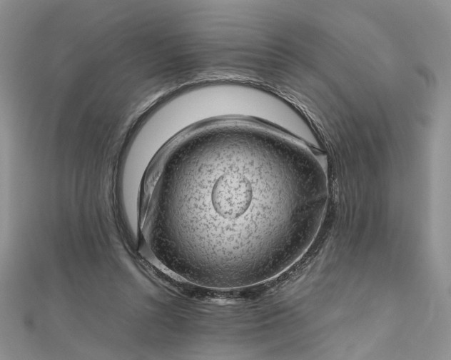 X0000112810352200909041459