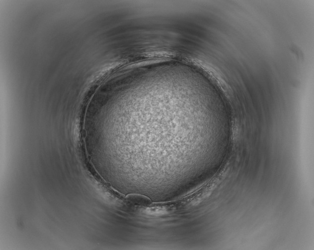 X0000112810353200909041459